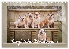 Englische Bulldoggen (Wandkalender 2026 DIN A3 quer), CALVENDO Monatskalender