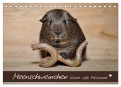 Meerschweinchen - Kleine süße Fellnasen (Tischkalender 2026 DIN A5 quer), CALVENDO Monatskalender Meerschweinchen - Kleine süße Fellnasen (Tischkalender 2026 DIN A5 quer), CALVENDO Monatskalender