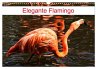 Elegante Flamingo (Wandkalender 2026... - Bild 1