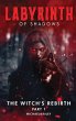 Labyrinth of Shadows - Bild 1