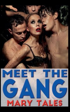 Cover Meet The Gang
