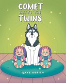 Comet Meets The Twins