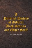 A Pictorial History of Biblical Back Stories and Other Stuff
