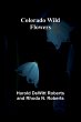 Colorado Wild Flowers - Bild 1