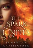 The Spark Ignites The Spark Ignites