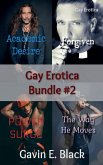Gay Erotica Bundle #2 Gay Erotica Bundle #2