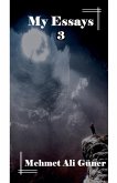 My Essays-3