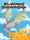The Adventures of David and the Dragon