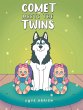 Comet Meets The Twins - Bild 1