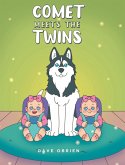 Comet Meets The Twins