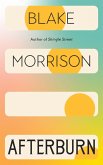 Afterburn (eBook, ePUB)