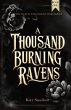 A Thousand Burning Ravens - Bild 1