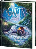 Gwin und das Herz des Drachen (Band 1) Gwin und das Herz des Drachen (Band 1)