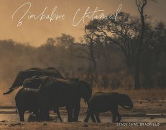 Cover Zimbabwe Untamed