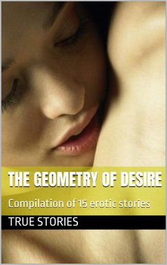Cover The Geometry of Desire (Bisexuality) (eBook, ePUB)