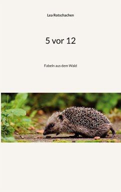 Cover 5 vor 12 (eBook, ePUB)