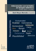 Intervención con la fratría en terapia sistémica. Entre lazos y nudos (eBook, ePUB)