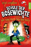 Lektion 2: Wie man einen Drachen klaut / Schule der Bösewichte Bd.2  (Mängelexemplar)