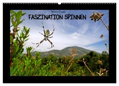 Faszination Spinnen (Wandkalender 2026 DIN A2 quer), CALVENDO Monatskalender Faszination Spinnen (Wandkalender 2026 DIN A2 quer), CALVENDO Monatskalender