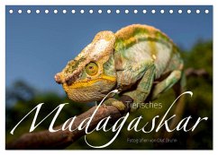 Tierisches Madagaskar (Tischkalender 2026 DIN A5 quer), CALVENDO Monatskalender