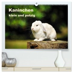 Kaninchen klein und putzig (hochwertiger Premium Wandkalender 2026 DIN A2 quer), Kunstdruck in Hochglanz