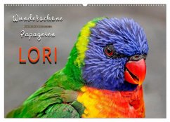 Wunderschöne Papageien - Lori (Wandkalender 2026 DIN A2 quer), CALVENDO Monatskalender Wunderschöne Papageien - Lori (Wandkalender 2026 DIN A2 quer), CALVENDO Monatskalender