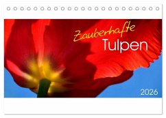 Zauberhafte Tulpen (Tischkalender 2026 DIN A5 quer), CALVENDO Monatskalender