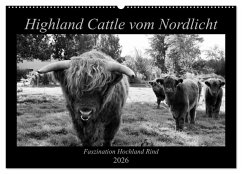 Highland Cattle vom Nordlicht - Faszination Hochland Rind (Wandkalender 2026 DIN A2 quer), CALVENDO Monatskalender
