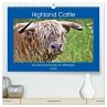 Highland Cattle, die Hochlandrinder aus... - Bild 1