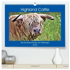 Highland Cattle, die Hochlandrinder aus Pfeffingen (hochwertiger Premium Wandkalender 2026 DIN A2 quer), Kunstdruck in Hochglanz Highland Cattle, die Hochlandrinder aus Pfeffingen (hochwertiger Premium Wandkalender 2026 DIN A2 quer), Kunstdruck in Hochglanz