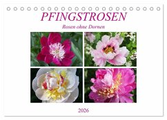 Cover PFINGSTROSEN Rosen ohne Dornen (Tischkalender 2026 DIN A5 quer), CALVENDO Monatskalender