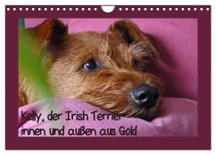 Kelly, der Irish Terrier - innen und außen aus Gold (Wandkalender 2026 DIN A4 quer), CALVENDO Monatskalender Kelly, der Irish Terrier - innen und außen aus Gold (Wandkalender 2026 DIN A4 quer), CALVENDO Monatskalender