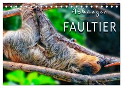 Abhängen - Faultier (Tischkalender 2026 DIN A5 quer), CALVENDO Monatskalender Cover Abhängen - Faultier (Tischkalender 2026 DIN A5 quer), CALVENDO Monatskalender