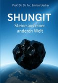Shungit - Steine aus einer anderen Welt Shungit - Steine aus einer anderen Welt