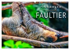 Abhängen - Faultier (Wandkalender 2026 DIN A2 quer), CALVENDO Monatskalender