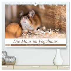 Die Maus im Vogelhaus (hochwertiger Premium Wandkalender 2026 DIN A2 quer), Kunstdruck in Hochglanz