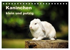 Kaninchen klein und putzig (Tischkalender 2026 DIN A5 quer), CALVENDO Monatskalender