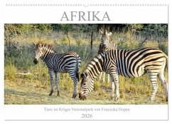 Afrika - Tiere im Krüger Nationalpark (Wandkalender 2026 DIN A2 quer), CALVENDO Monatskalender
