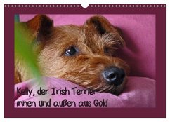 Kelly, der Irish Terrier - innen und außen aus Gold (Wandkalender 2026 DIN A3 quer), CALVENDO Monatskalender Kelly, der Irish Terrier - innen und außen aus Gold (Wandkalender 2026 DIN A3 quer), CALVENDO Monatskalender