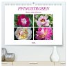 PFINGSTROSEN Rosen ohne Dornen... - Bild 1