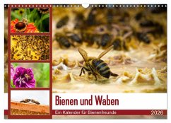 Bienen und Waben (Wandkalender 2026 DIN A3 quer), CALVENDO Monatskalender Cover Bienen und Waben (Wandkalender 2026 DIN A3 quer), CALVENDO Monatskalender