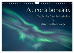 Aurora borealis - Magische Polarlichtnächte in Island und Norwegen (Wandkalender 2026 DIN A4 quer), CALVENDO Monatskalender