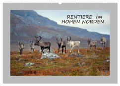 Rentiere im Hohen Norden (Wandkalender 2026 DIN A2 quer), CALVENDO Monatskalender Rentiere im Hohen Norden (Wandkalender 2026 DIN A2 quer), CALVENDO Monatskalender