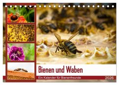 Bienen und Waben (Tischkalender 2026 DIN A5 quer), CALVENDO Monatskalender Cover Bienen und Waben (Tischkalender 2026 DIN A5 quer), CALVENDO Monatskalender