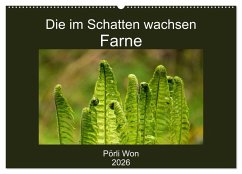 Die im Schatten wachsen - Farne (Wandkalender 2026 DIN A2 quer), CALVENDO Monatskalender