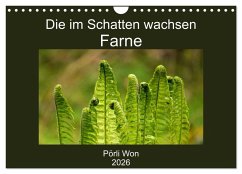 Die im Schatten wachsen - Farne (Wandkalender 2026 DIN A4 quer), CALVENDO Monatskalender Die im Schatten wachsen - Farne (Wandkalender 2026 DIN A4 quer), CALVENDO Monatskalender