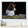 Traumhund Border Collie (hochwertiger... - Bild 1