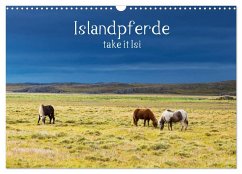Islandpferde take it Isi (Wandkalender 2026 DIN A3 quer), CALVENDO Monatskalender