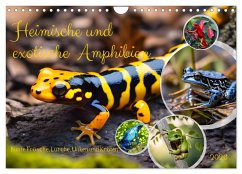 Cover Heimische und exotische Amphibien (Wandkalender 2026 DIN A4 quer), CALVENDO Monatskalender