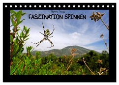Faszination Spinnen (Tischkalender 2026 DIN A5 quer), CALVENDO Monatskalender Faszination Spinnen (Tischkalender 2026 DIN A5 quer), CALVENDO Monatskalender